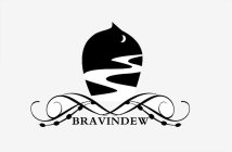 BRAVINDEW
