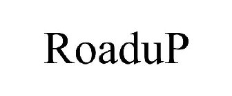 ROADUP