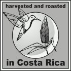 HARVESTED AND ROASTED IN COSTA RICA