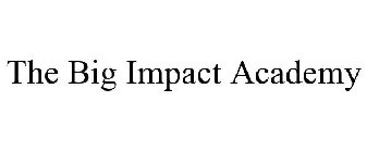 THE BIG IMPACT ACADEMY