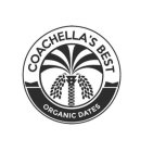COACHELLA'S BEST ORGANIC DATES