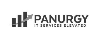 PANURGY IT SERVICES ELEVATED