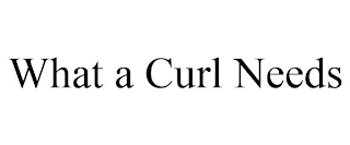 WHAT A CURL NEEDS