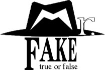 MR.FAKE TRUE OR FALSE