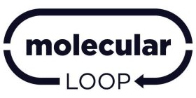 MOLECULAR LOOP