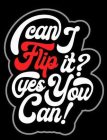 CAN I FLIP IT? YES YOU CAN!