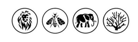 Image Trademark