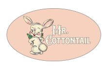 MR. COTTONTAIL