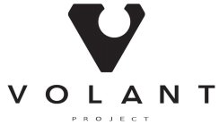 V VOLANT PROJECT