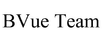 BVUE TEAM