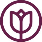 Image Trademark