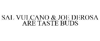 SAL VULCANO & JOE DEROSA ARE TASTE BUDS