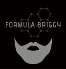 FORMULA BRIGGY