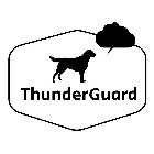 THUNDERGUARD