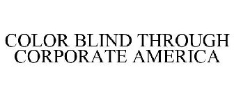 COLOR BLIND THROUGH CORPORATE AMERICA