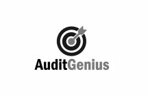 AUDITGENIUS