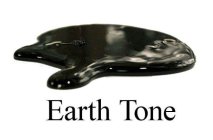EARTH TONE