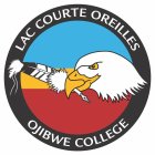 LAC COURTE OREILLES OJIBWE COLLEGE