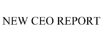 NEW CEO REPORT