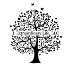 1 EXTRAORDINARY LIFE, LLC