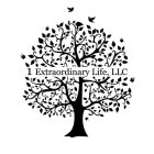 1 EXTRAORDINARY LIFE, LLC
