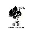 ANTS DREAM