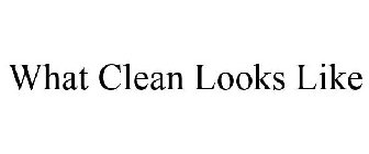 WHAT CLEAN LOOKS LIKE