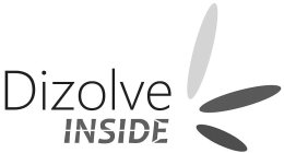 DIZOLVE INSIDE