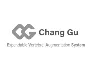 CG CHANG GU EXPANDABLE VERTEBRAL AUGMENTATION SYSTEM
