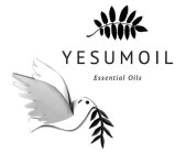 YESUMOIL ESSENTIAL OILS