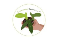 CALIFORNIA TROPICALS