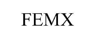 FEMX