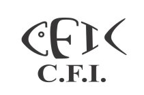 CFI C.F.I.