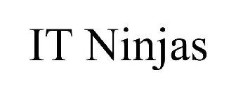 IT NINJAS