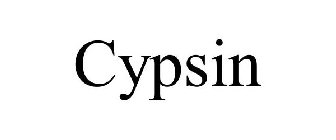 CYPSIN
