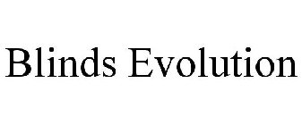BLINDS EVOLUTION