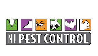 NJ PEST CONTROL
