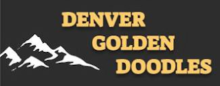 DENVER GOLDEN DOODLES