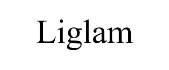 LIGLAM