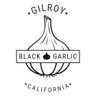GILROY BLACK GARLIC CALIFORNIA