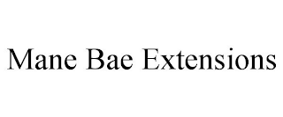MANE BAE EXTENSIONS