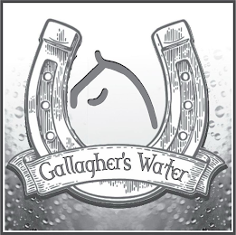 GALLAGHER'S WATER