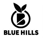 B BLUE HILLS