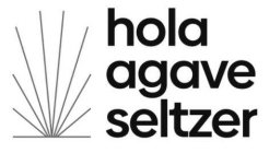 HOLA AGAVE SELTZER