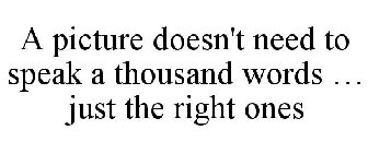 A PICTURE DOESN'T NEED TO SPEAK A THOUSAND WORDS ... JUST THE RIGHT ONES