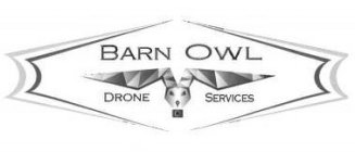 BARN OWL DRONE SERVICES