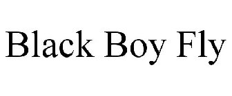 BLACK BOY FLY