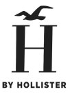 H BY HOLLISTER