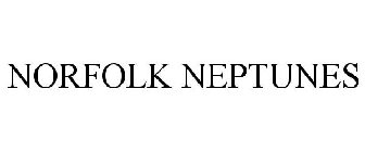 NORFOLK NEPTUNES