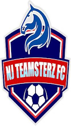 NJ TEAMSTERZ FC